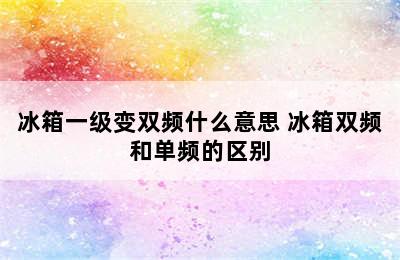 冰箱一级变双频什么意思 冰箱双频和单频的区别